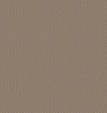 BERBER NYLON LOOP