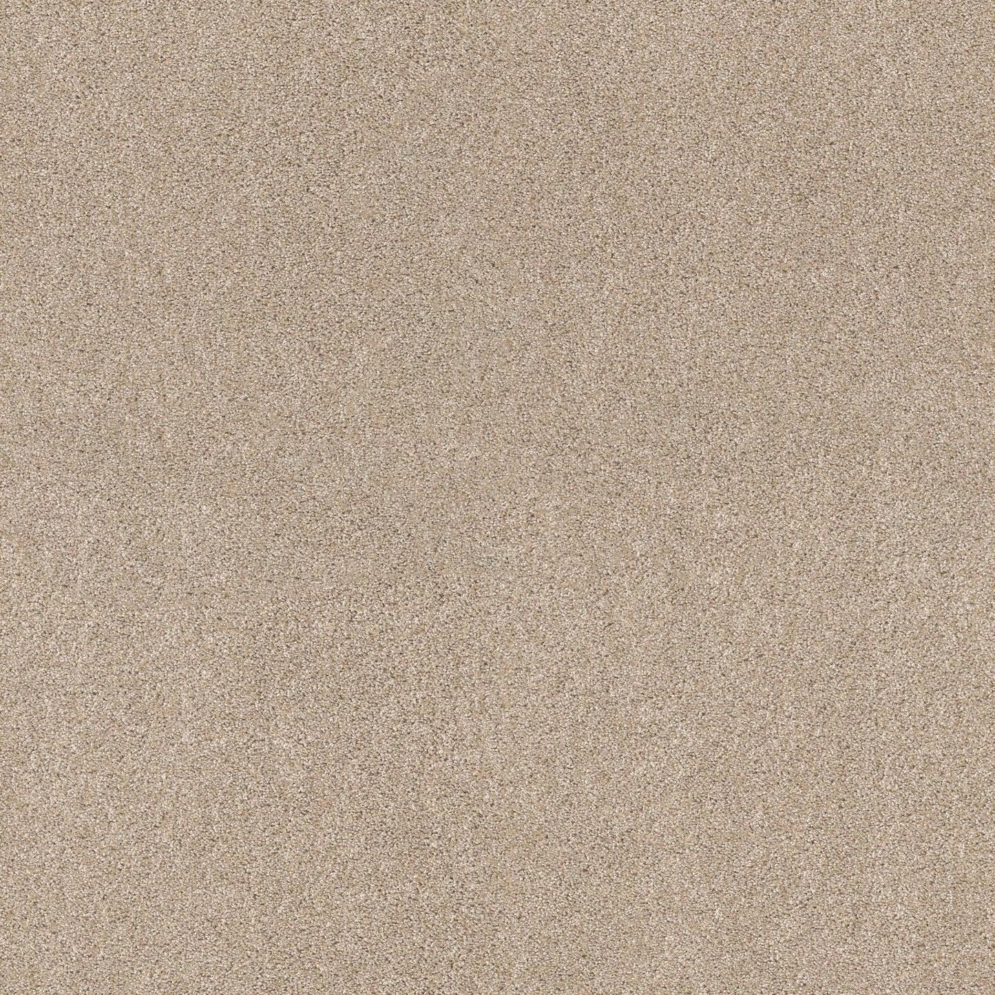 TEXTURE BCF
