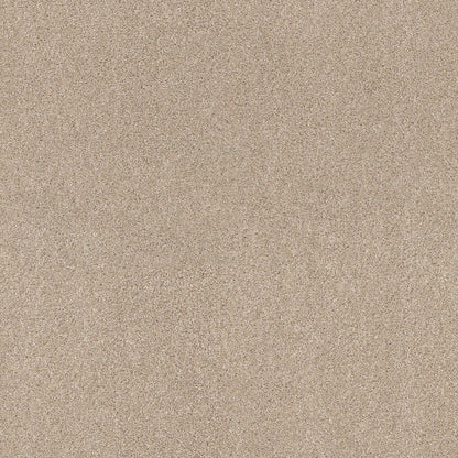 TEXTURE BCF