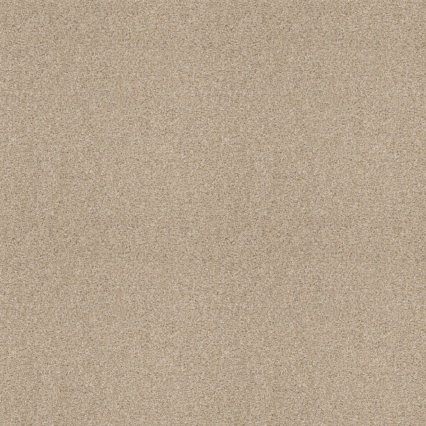 TEXTURE BCF