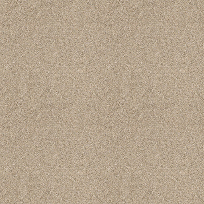 TEXTURE BCF