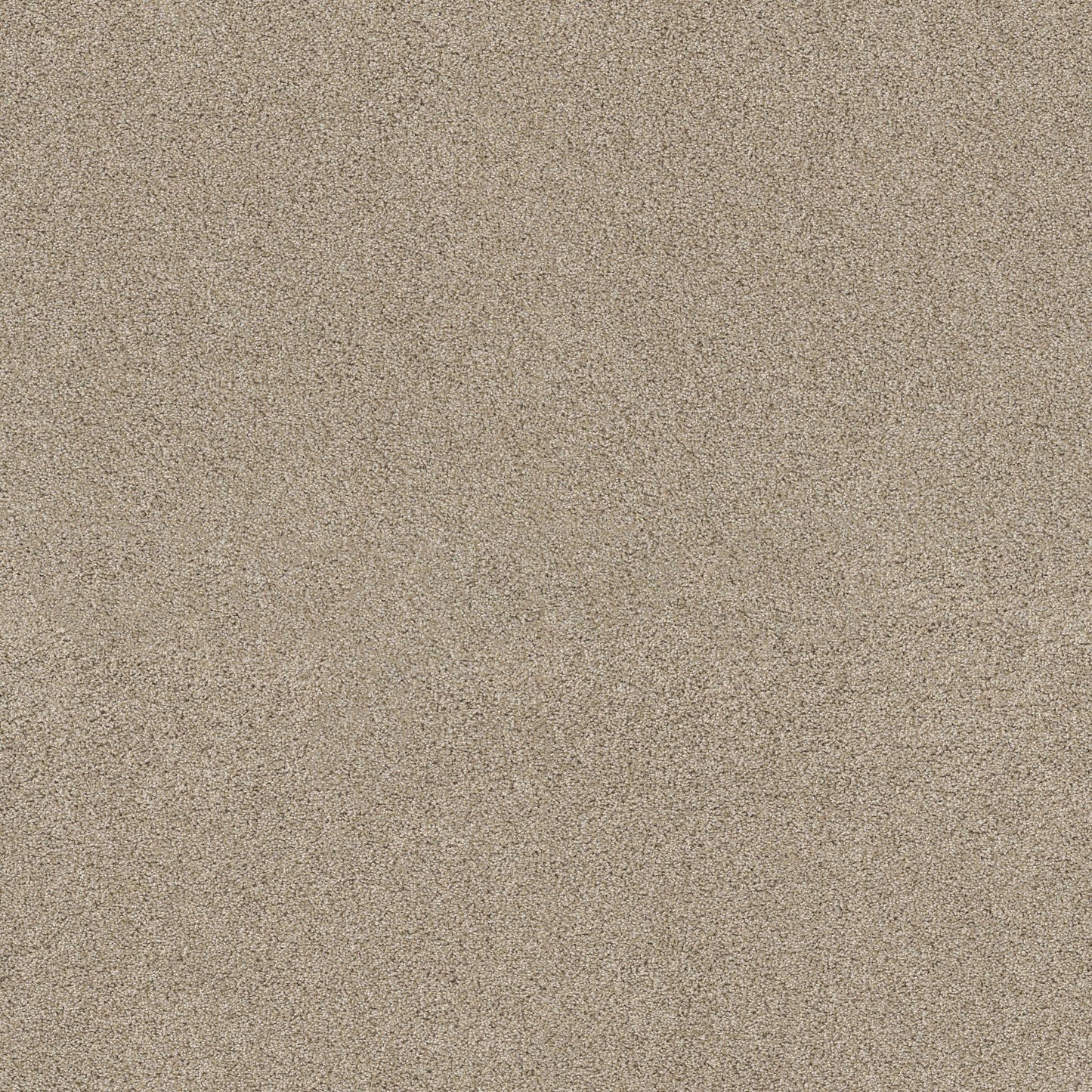 TEXTURE BCF