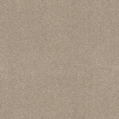 TEXTURE BCF