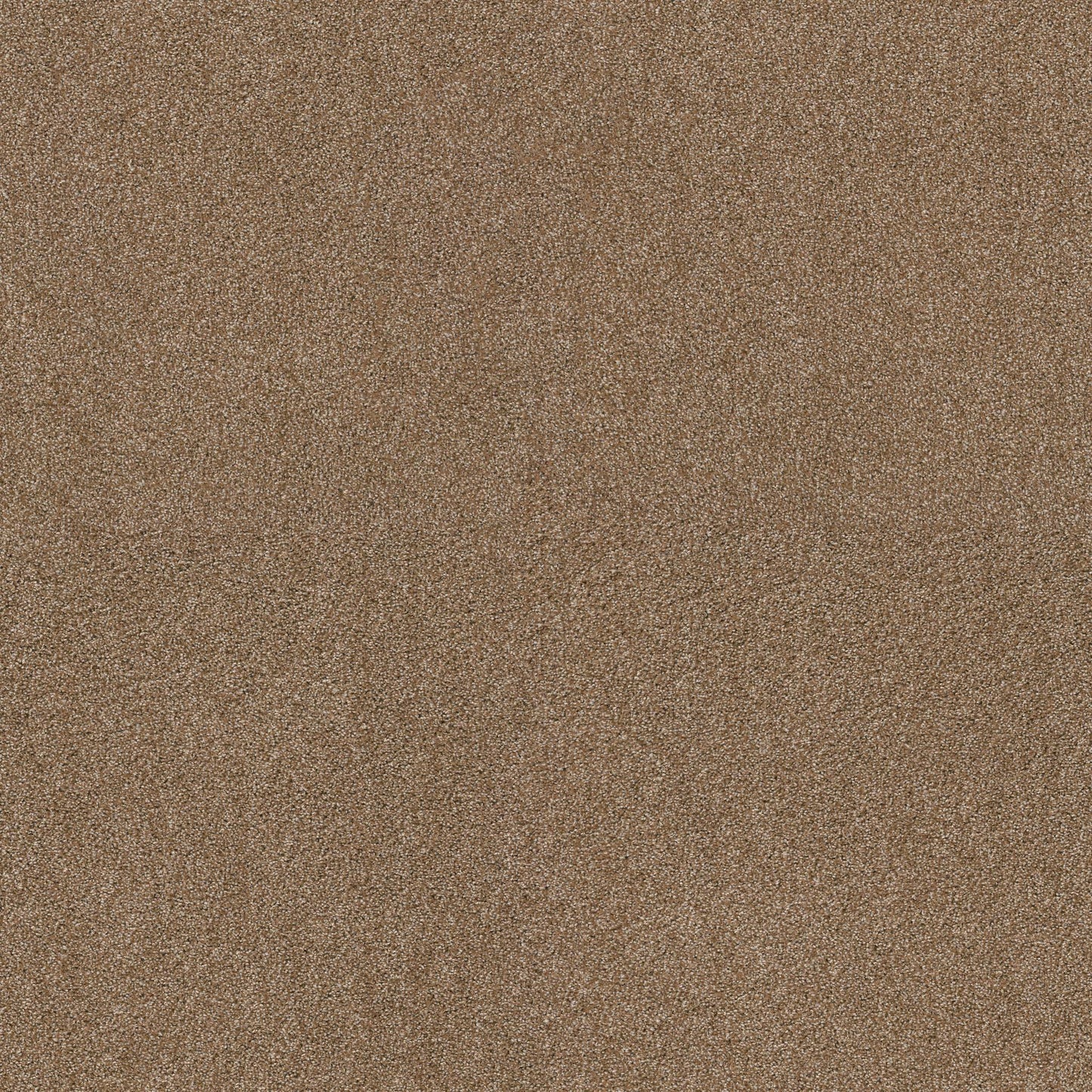 TEXTURE BCF