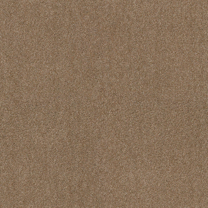 TEXTURE BCF
