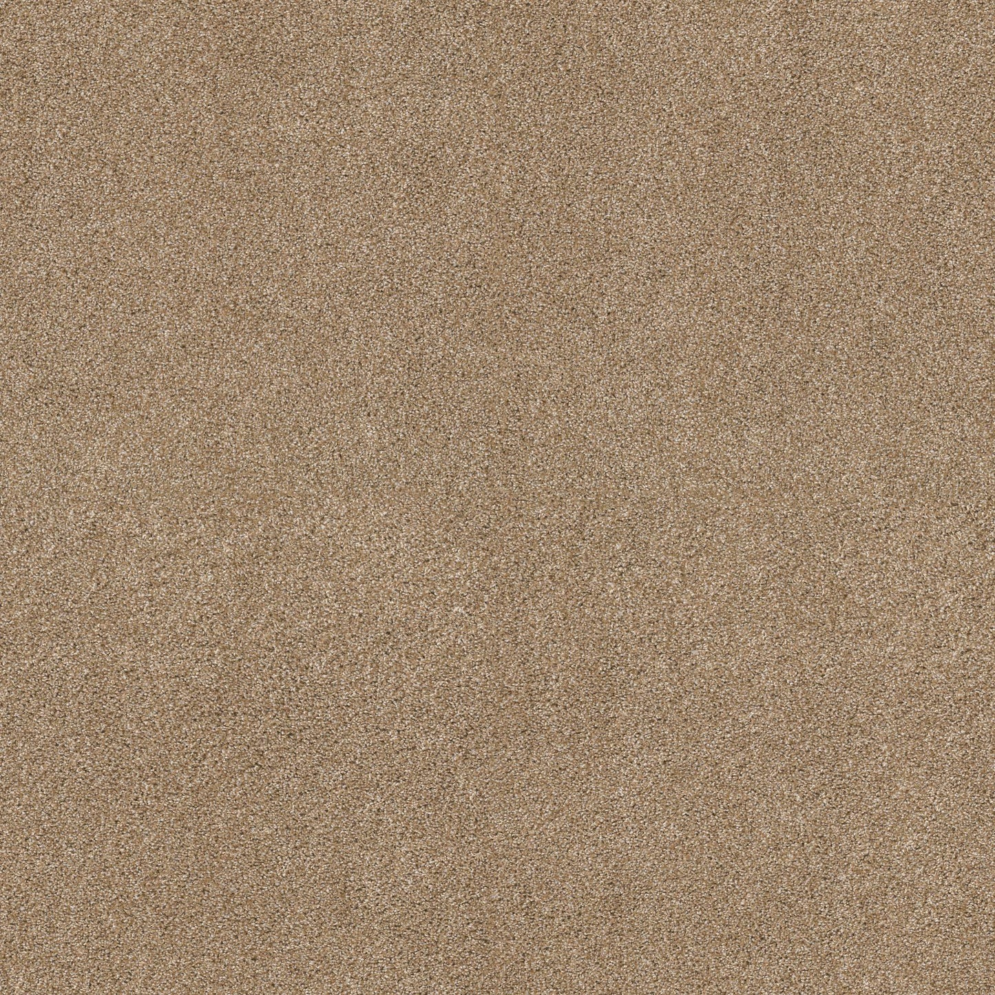 TEXTURE BCF