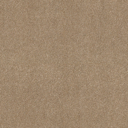 TEXTURE BCF