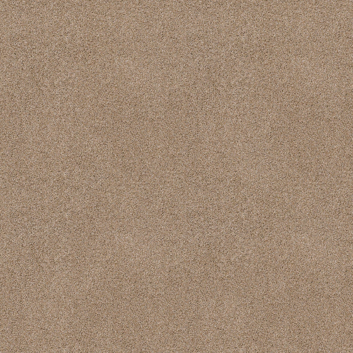 TEXTURE BCF