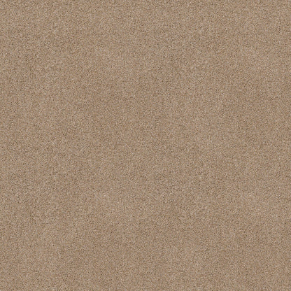 TEXTURE BCF