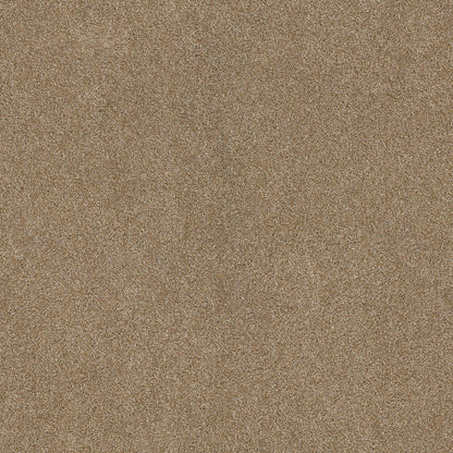 TEXTURE BCF