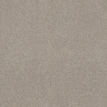 TEXTURE BCF