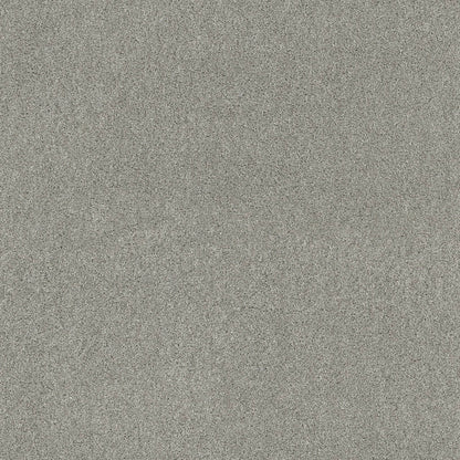 TEXTURE BCF