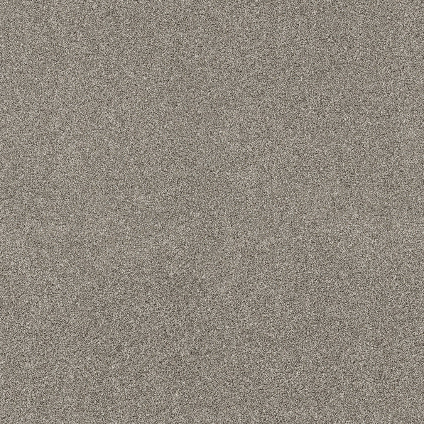 TEXTURE BCF