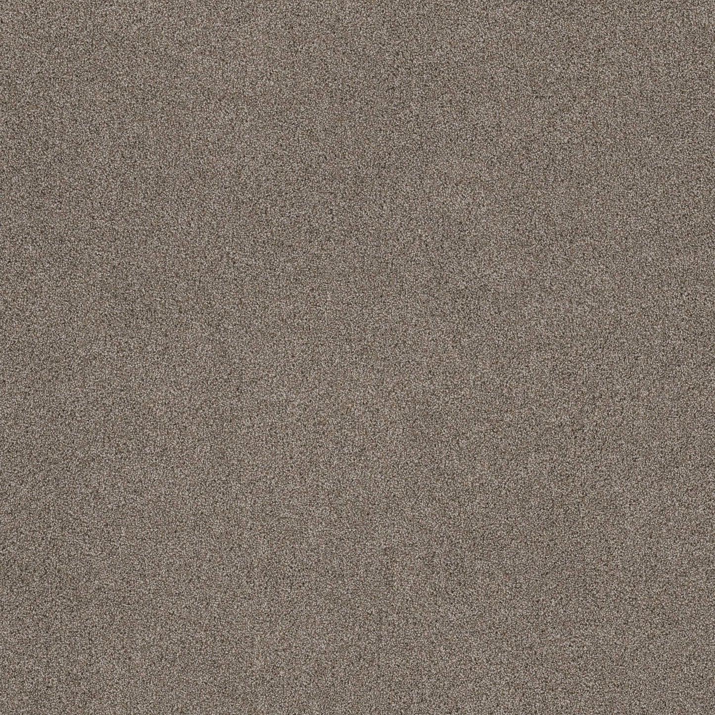TEXTURE BCF