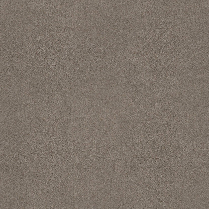 TEXTURE BCF