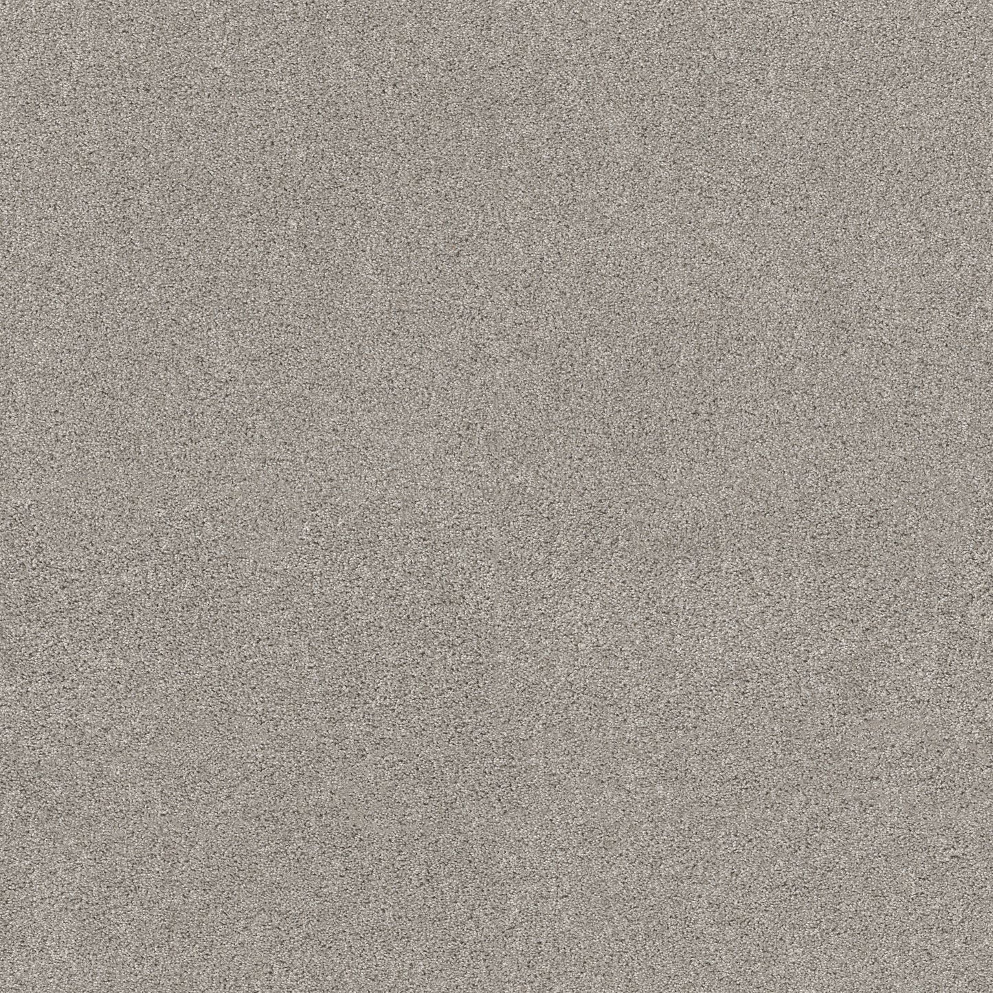 TEXTURE BCF