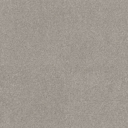TEXTURE BCF
