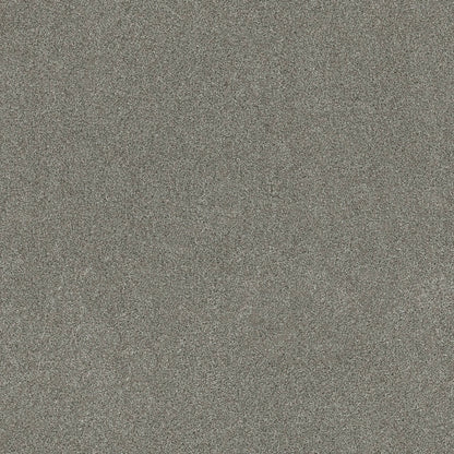TEXTURE BCF