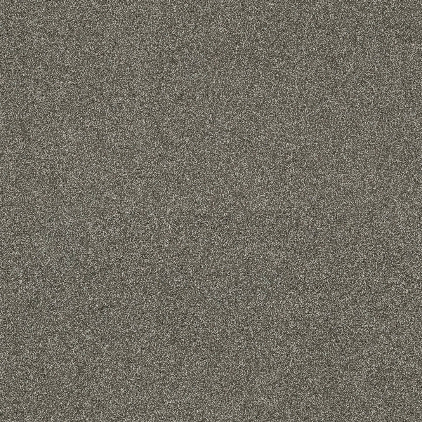 TEXTURE BCF