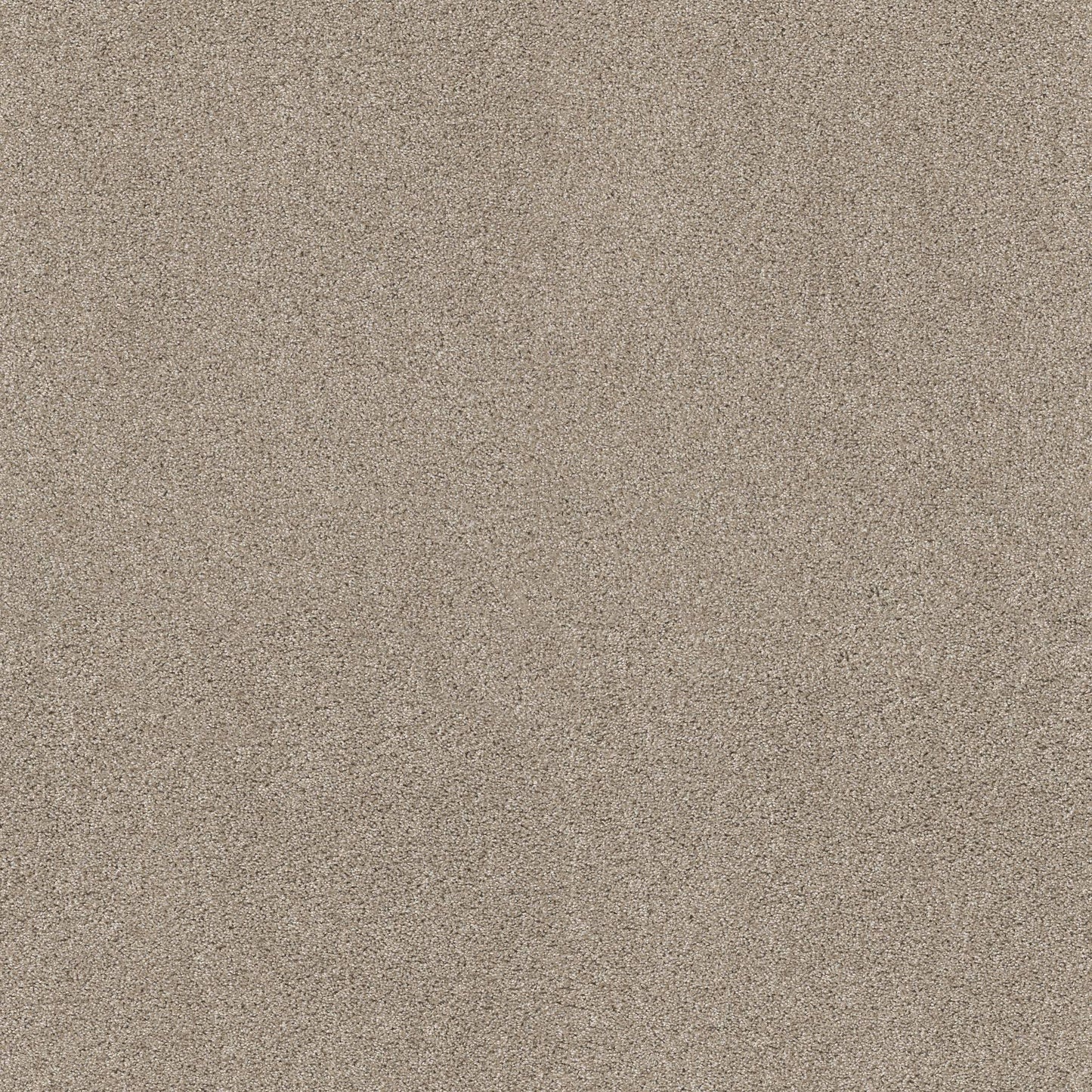 TEXTURE BCF