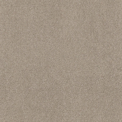 TEXTURE BCF