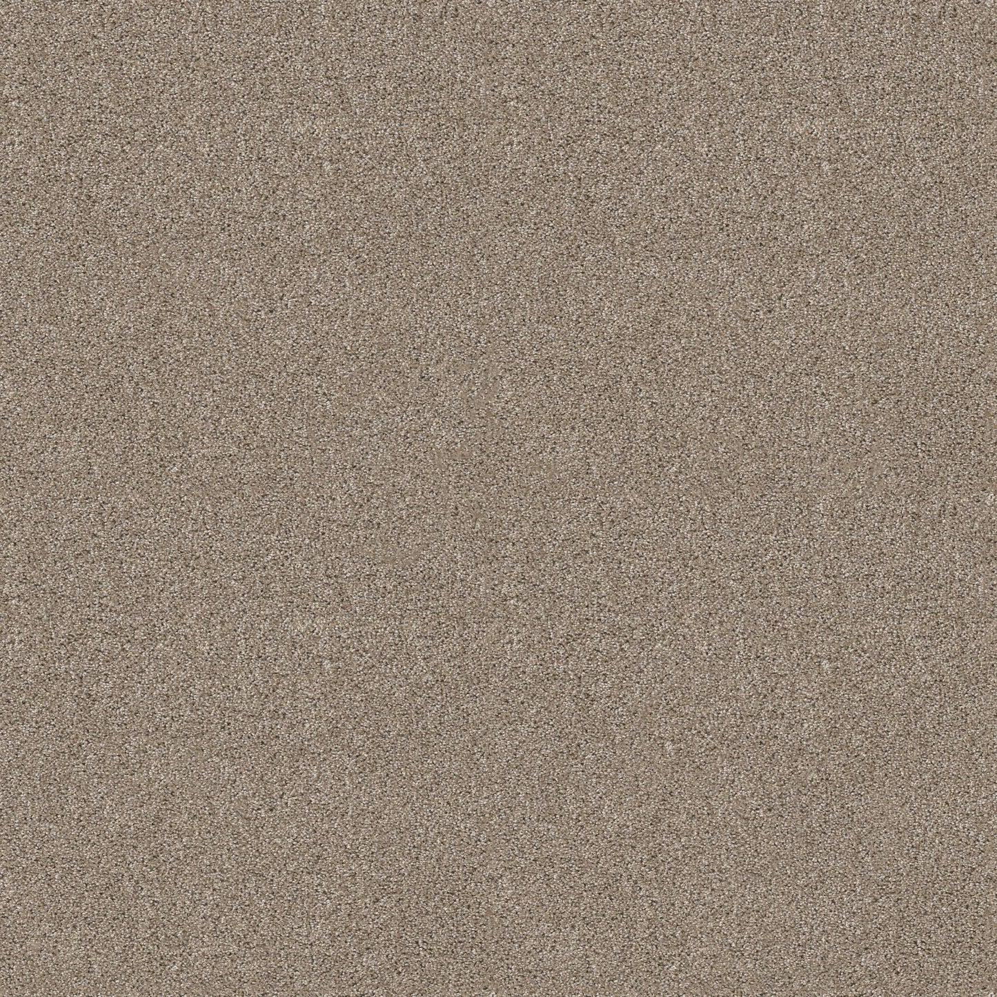 TEXTURE BCF