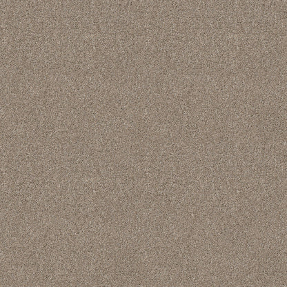 TEXTURE BCF