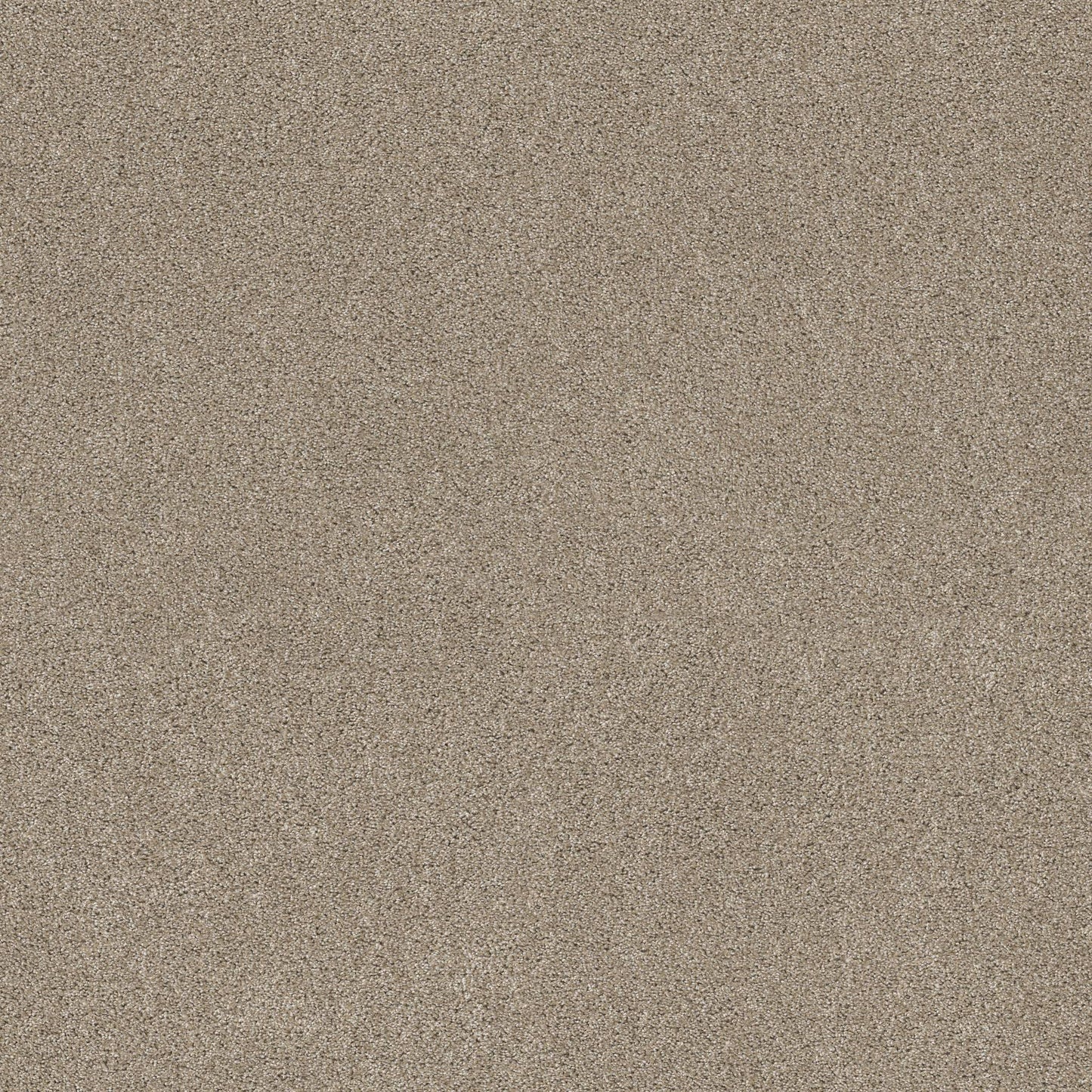 TEXTURE BCF