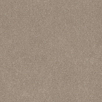 TEXTURE BCF