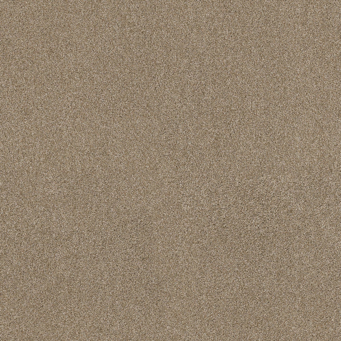 TEXTURE BCF