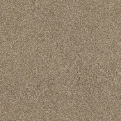 TEXTURE BCF