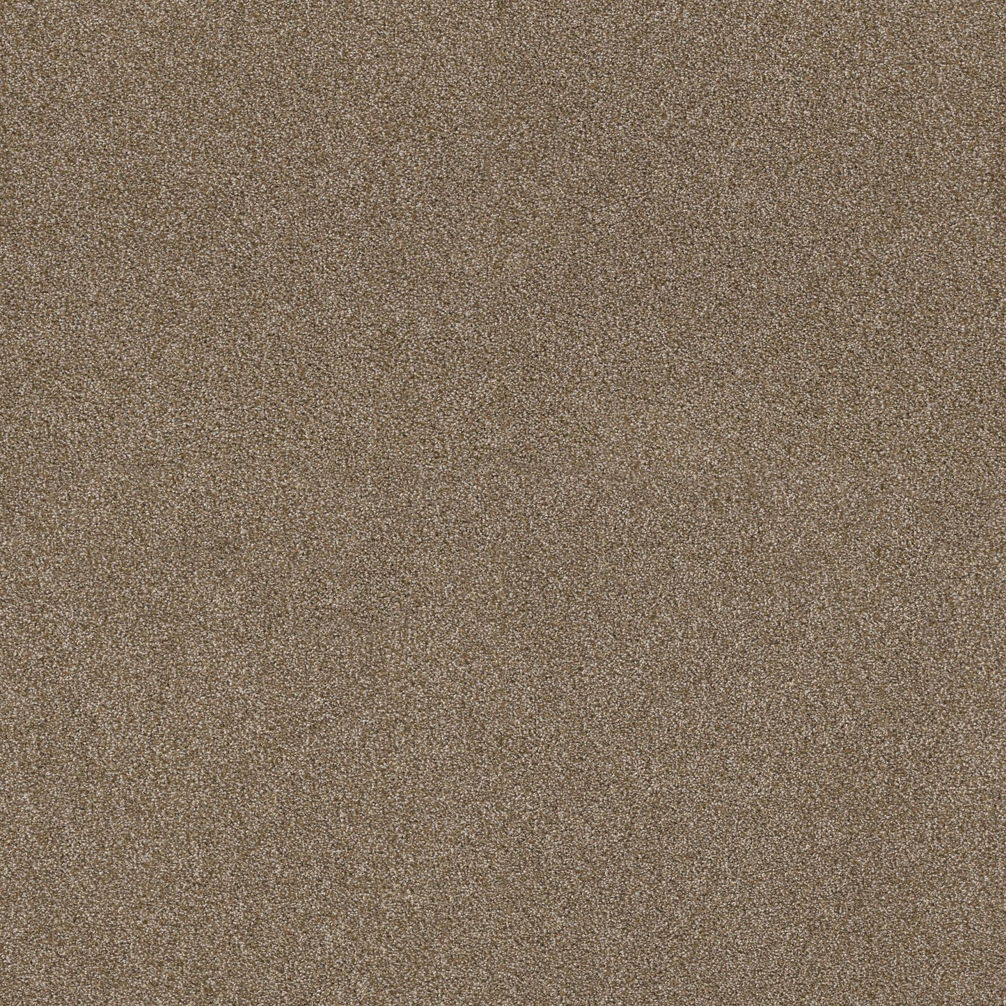 TEXTURE BCF