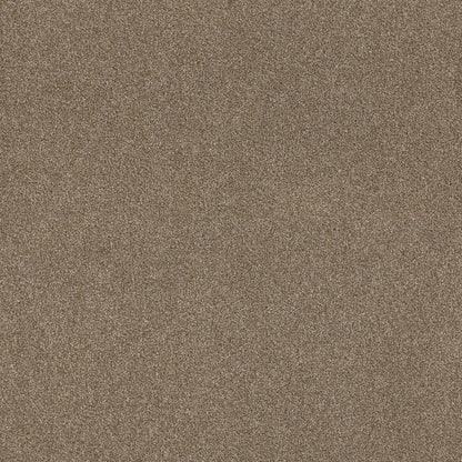 TEXTURE BCF