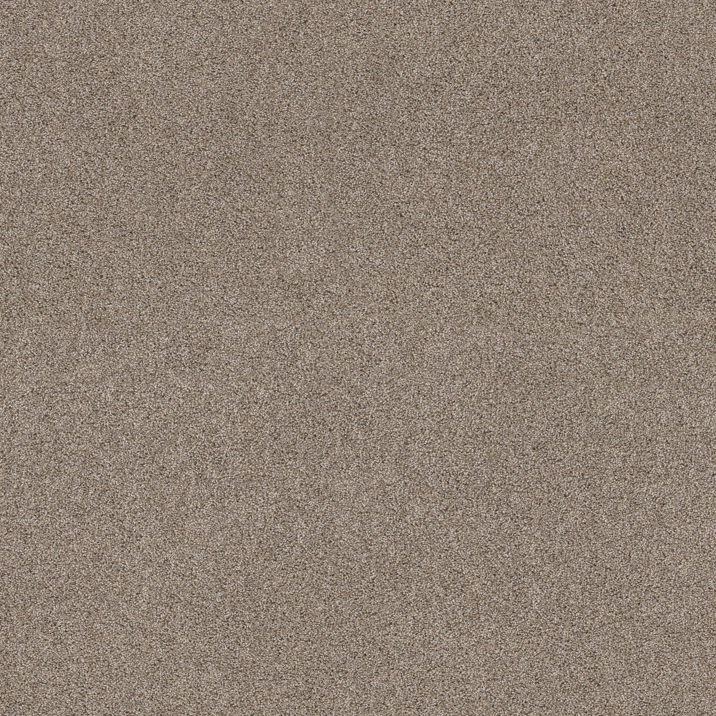 TEXTURE BCF