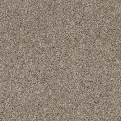 TEXTURE BCF