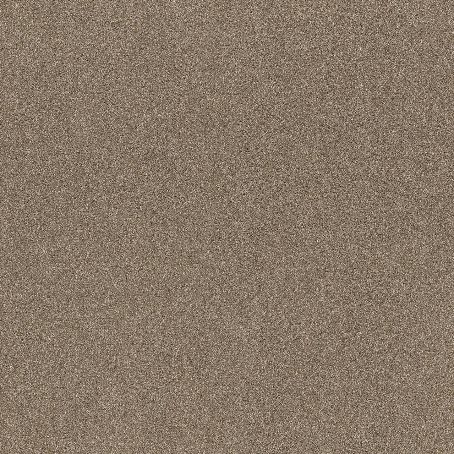 TEXTURE BCF
