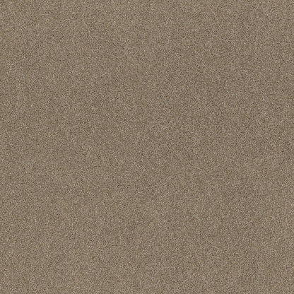 TEXTURE BCF