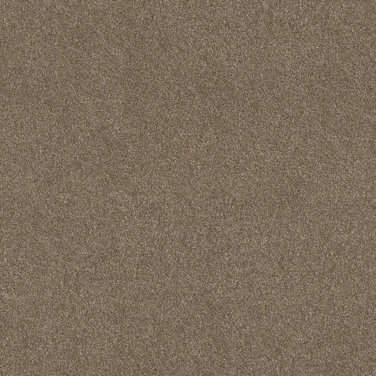 TEXTURE BCF