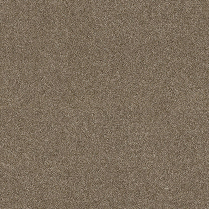 TEXTURE BCF