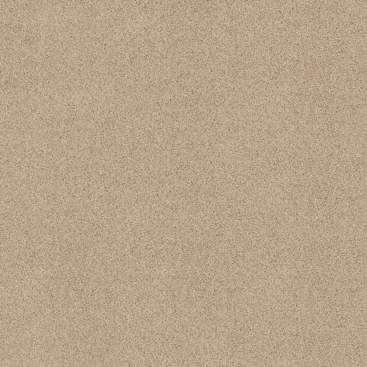 TEXTURE BCF