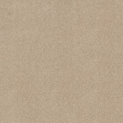 TEXTURE BCF