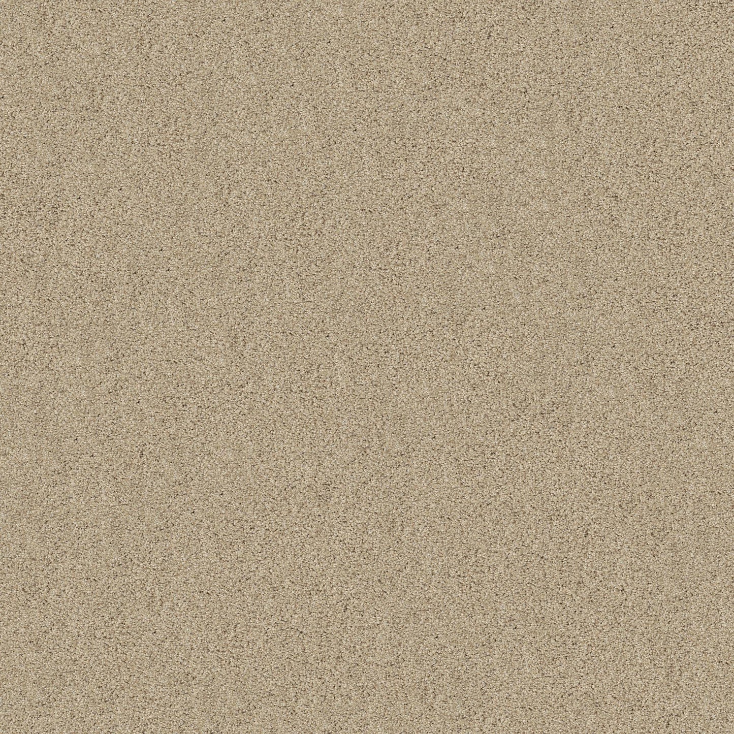 TEXTURE BCF