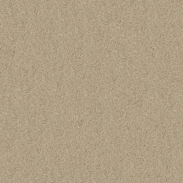 TEXTURE BCF