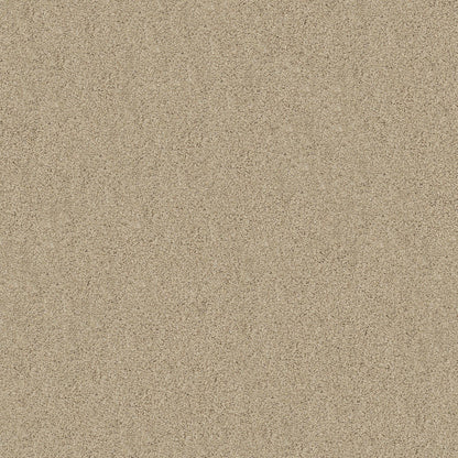 TEXTURE BCF