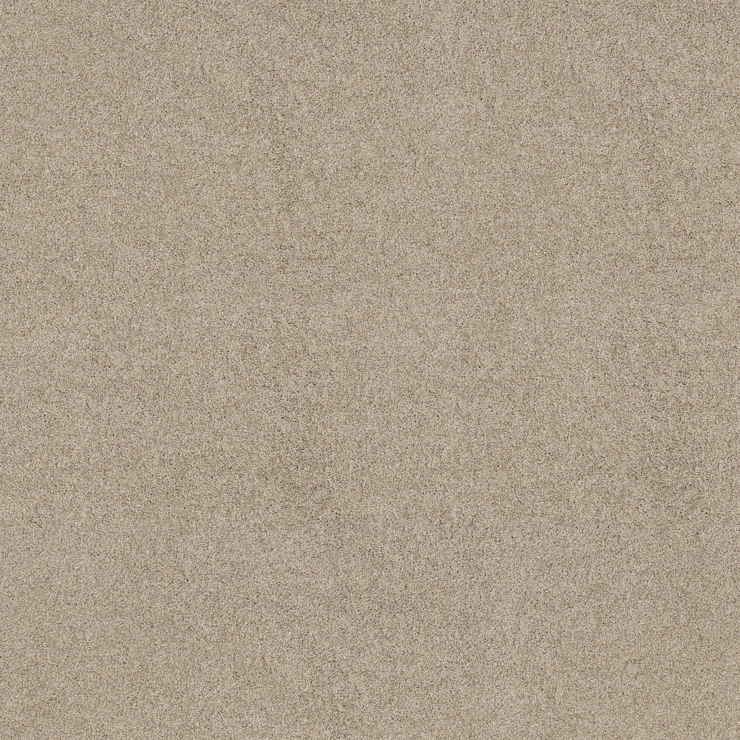 TEXTURE BCF