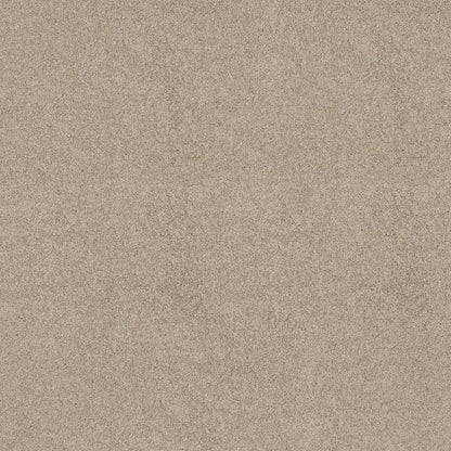 TEXTURE BCF
