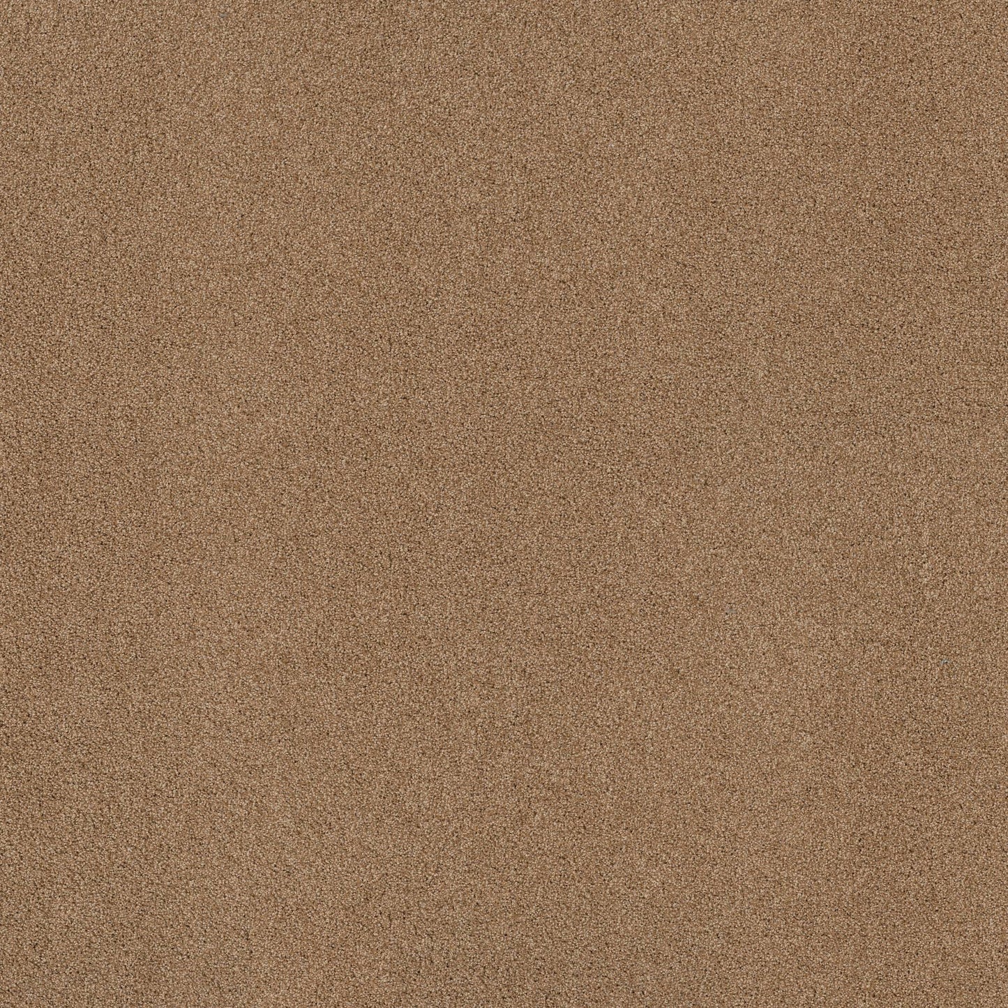 TEXTURE BCF