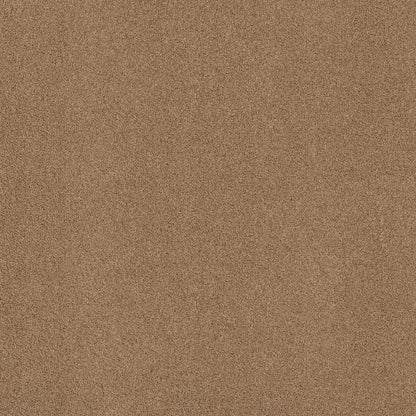 TEXTURE BCF