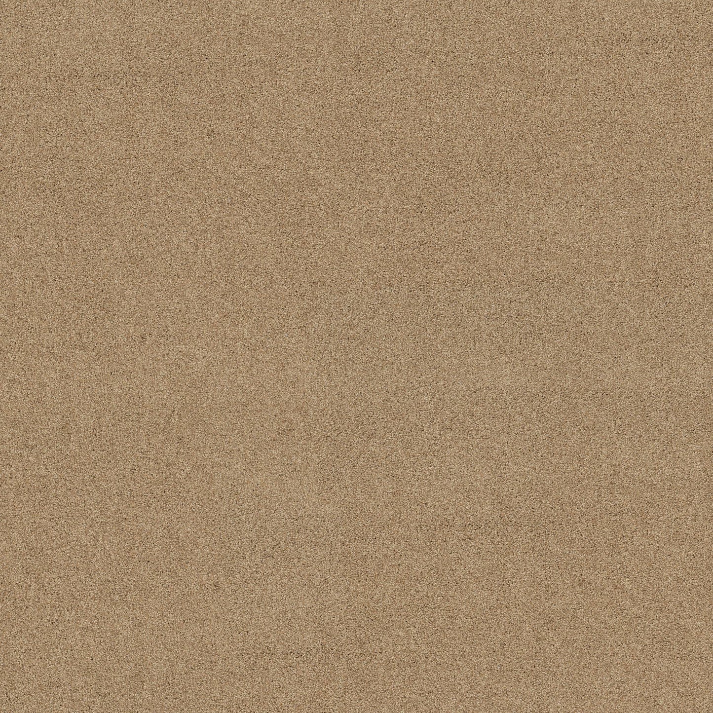 TEXTURE BCF