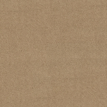 TEXTURE BCF